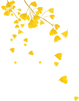 12926e44d77b6c468fc2439a94970c86.jpg 12926e44d77b6c468fc2439a94970c86.jpg